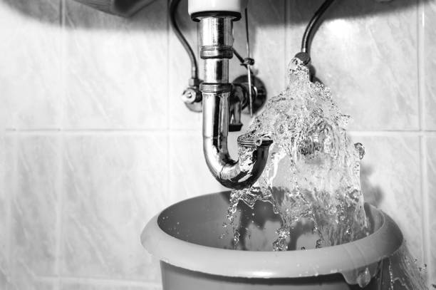 Emergency Plumbing SEO in Bellevue