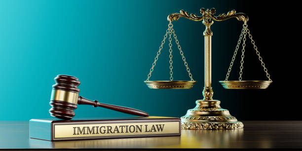 Immigration Lawyer SEO Marketing Firm in Seattle