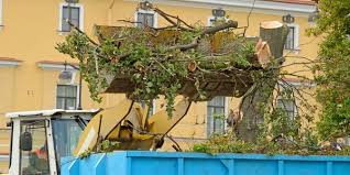 Demolition Contractor in Lakeland, FL