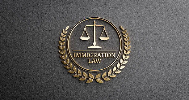 Immigration Lawyer Marketing Agencies in Washington DC
