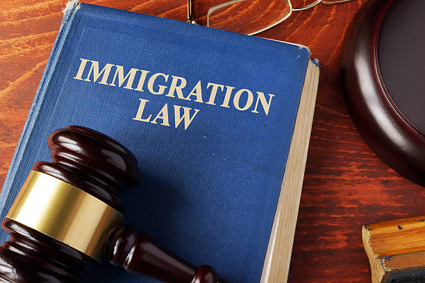Digital Marketing for Immigration Lawyer in Seattle